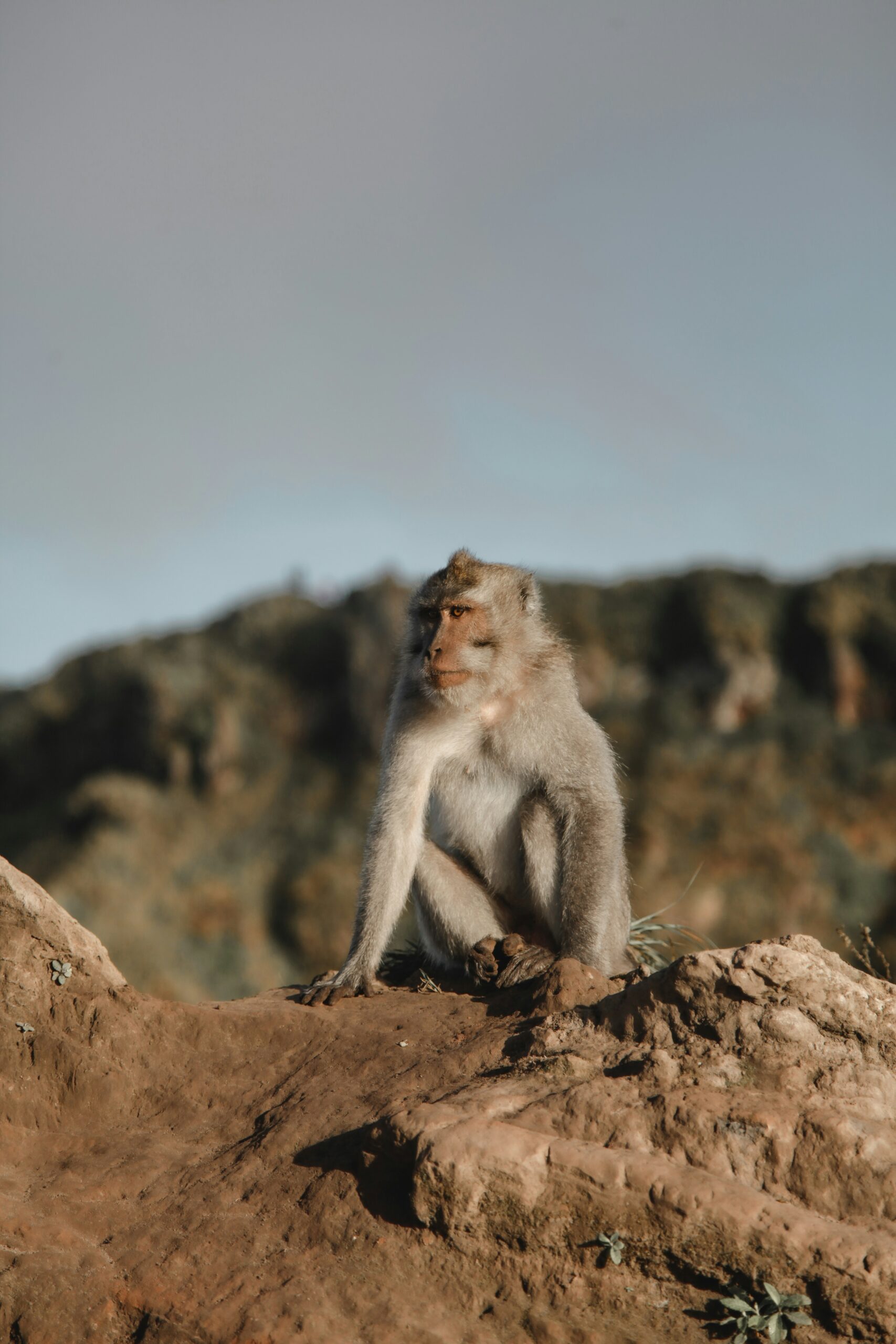 abiwin krisna 8mebpuqkxry unsplash