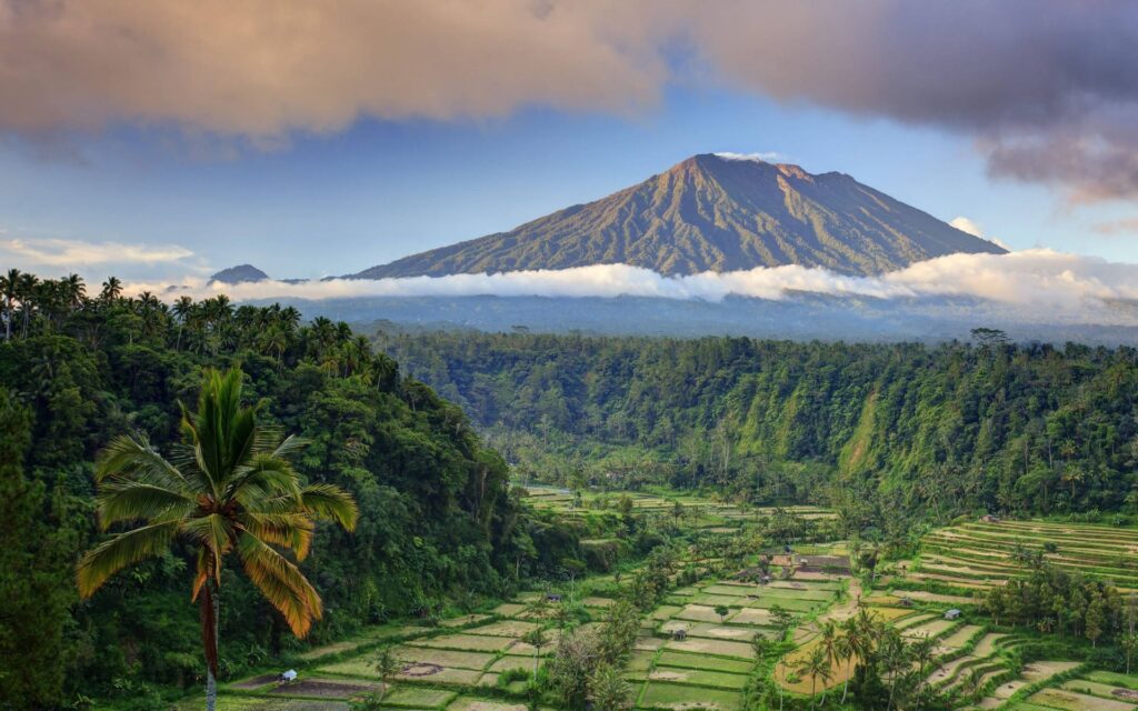 Recovery in Bali at BareMind Recovery in Ubud